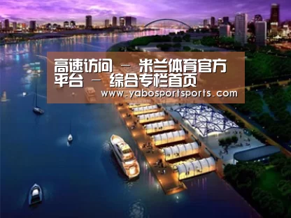 案例展示八