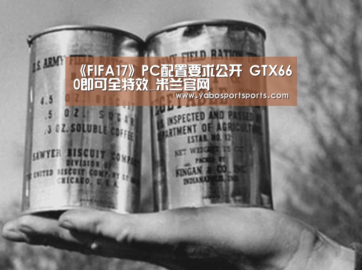 《FIFA17》PC配置要求公开 GTX660即可全特效_米兰官网(图2) 米兰网站