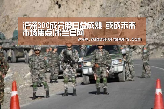 沪深300成分股日益成熟 或成未来市场焦点|米兰官网(图1) 米兰网站