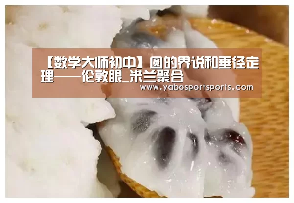 【数学大师初中】圆的界说和垂径定理——伦敦眼_米兰聚合(图1) 米兰网站