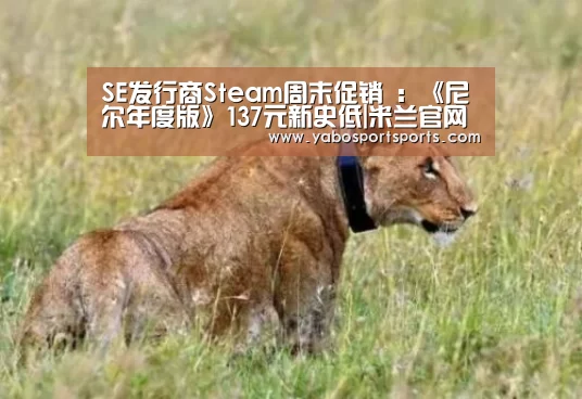 SE发行商Steam周末促销 :《尼尔年度版》137元新史低|米兰官网(图1) 米兰赛程