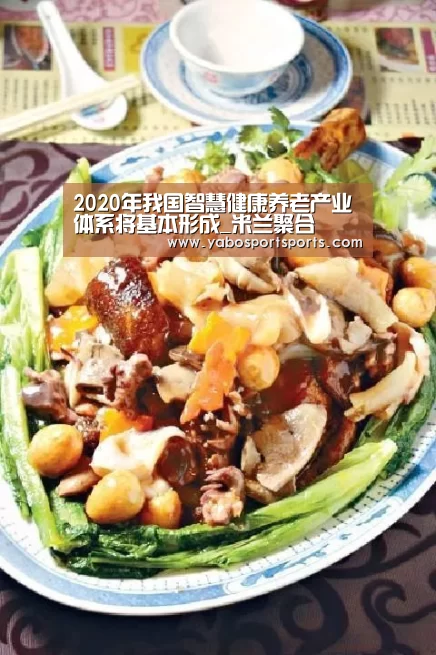 2020年我国智慧健康养老产业体系将基本形成_米兰聚合(图3) 米兰赛程