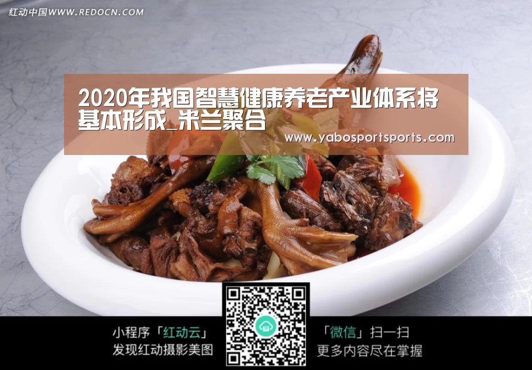 2020年我国智慧健康养老产业体系将基本形成_米兰聚合(图2) 米兰赛程